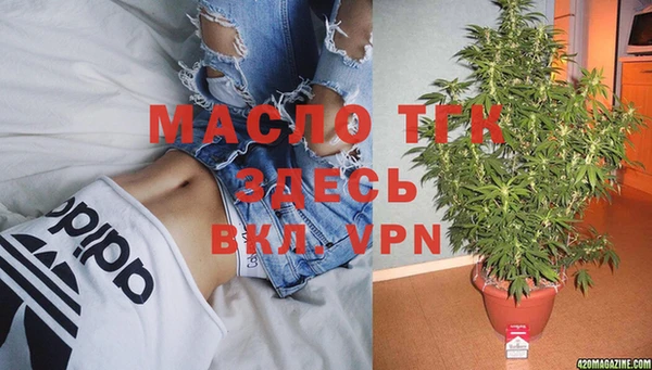 стафф Россошь