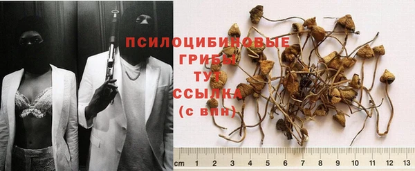 стафф Россошь