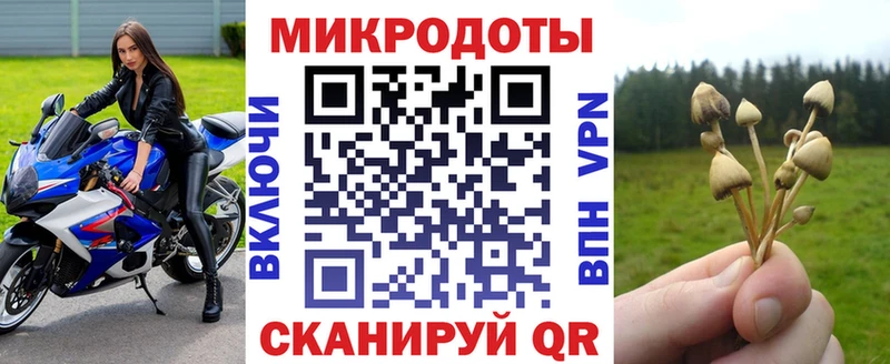 Галлюциногенные грибы прущие грибы  купить наркотики цена  Чернушка 